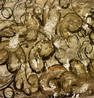 Hopfenblatt